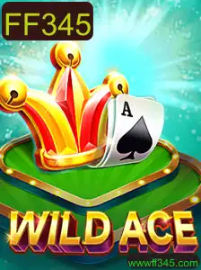 Descubra o Mundo Excitante de WildAce: Introdução e Regras